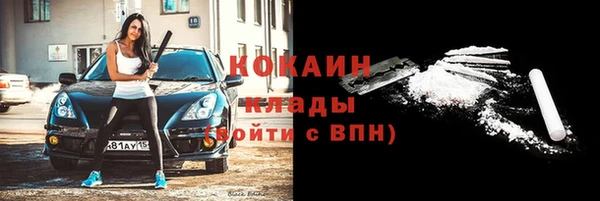 дживик Алексин