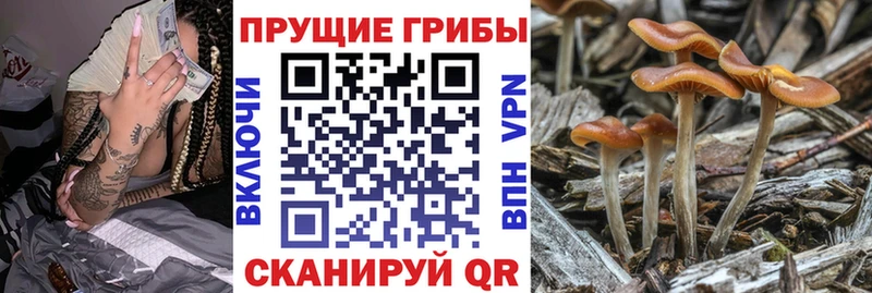 купить закладку  Магнитогорск  Галлюциногенные грибы GOLDEN TEACHER 